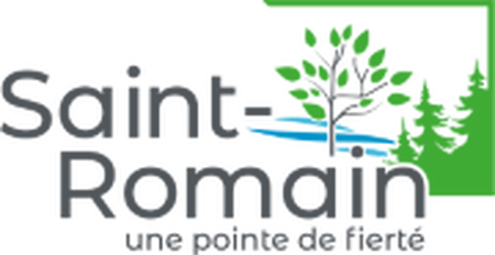 Logo ROM