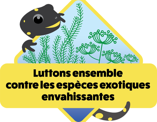 Campagne régionale de sensibilisation sur les plantes exotiques envahissantes