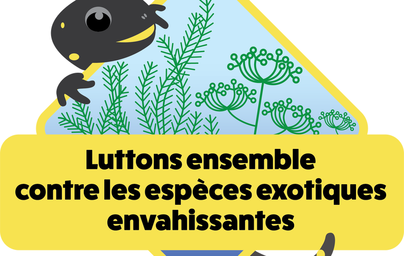 Campagne régionale de sensibilisation sur les plantes exotiques envahissantes