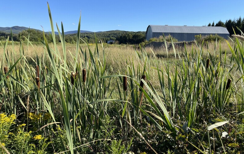 APPEL DE PROPOSITIONS - ENTRETIEN MÉNAGER